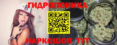 jwh Туймазы