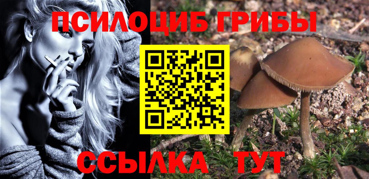 Галлюциногенные грибы GOLDEN TEACHER  Галлюциногенные грибы Magic Shrooms  Вход с VPN  Клинцы 